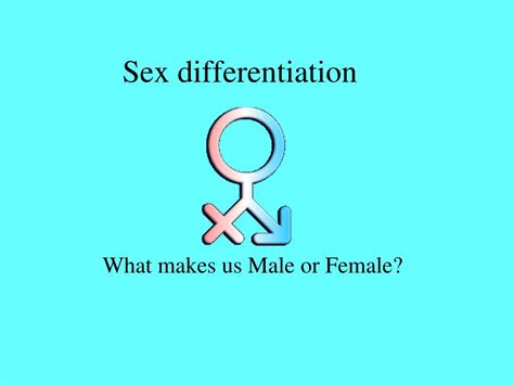 Ppt Sex Differentiation Powerpoint Presentation Free Download Id 746086