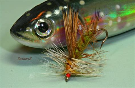 Stimulator Dry Fly Getting A Rise Swittersb And Exploring