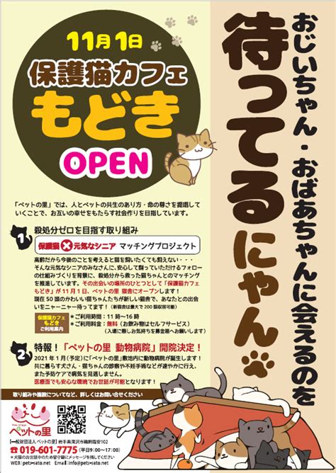 2020年11月1日「保護猫カフェもどき」岩手県滝沢市一般財団法人ペットの里内にオープン！｜一般財団法人ペットの里のプレスリリース