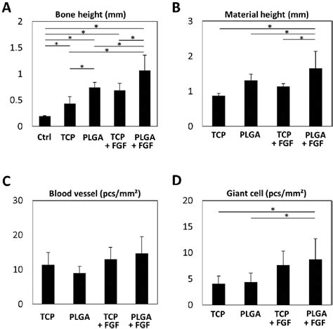 Figure 8 From Bone Augmentation Using A Highly Porous Plga β Tcp Scaffold Containing Fibroblast