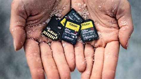 Everything You Need To Know About Sd Memory Cards Techradar