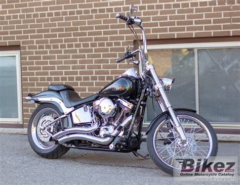 harley davidson fxstc softail custom poster