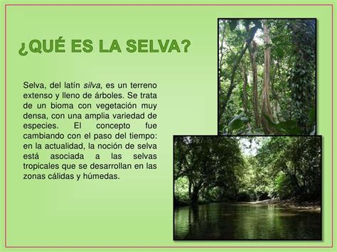 La Selva Tropical