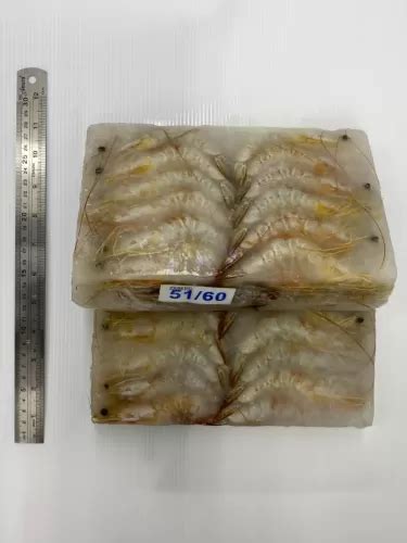 Prawn Sea White Prawn Head On Shell On 700gm Kl Selangor Malaysia