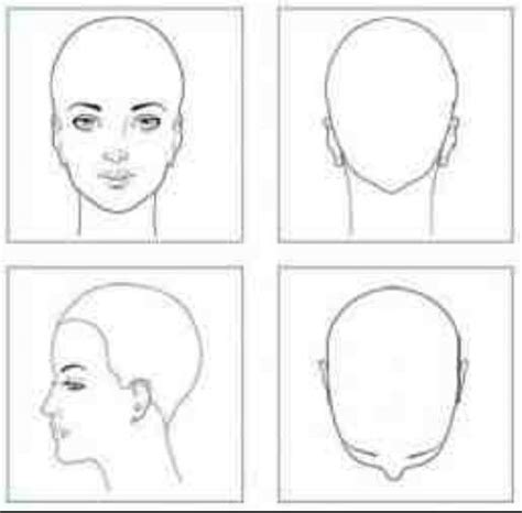 Head Chart Hair Patterns Hair Cutting Techniques Hair Science