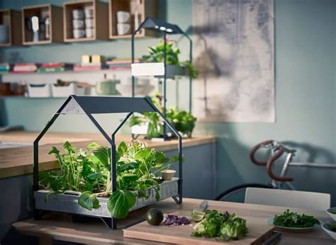 Indoor Smart Garden Ideas You Will Love Smart Garden Guide