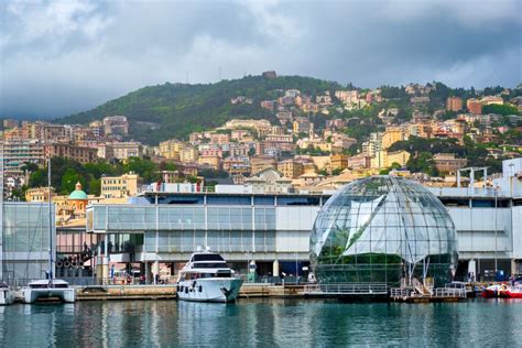 Genova Acquario Di Genova Con Pranzo GetYourGuide