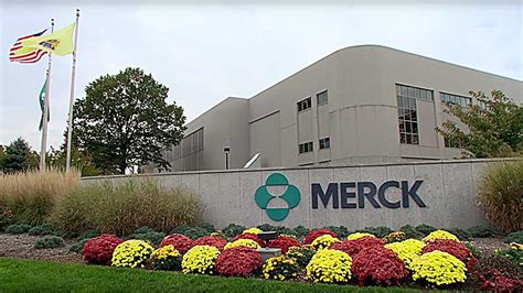 Merck Says Covid Hammered 2020 Sales By $2.5 Billion — Is Merck Stock A ...