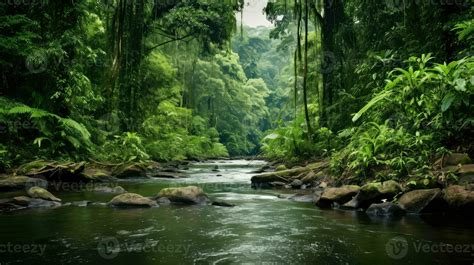 travel brunei rainforest pristine ai generated 29110529 Stock Photo at ...