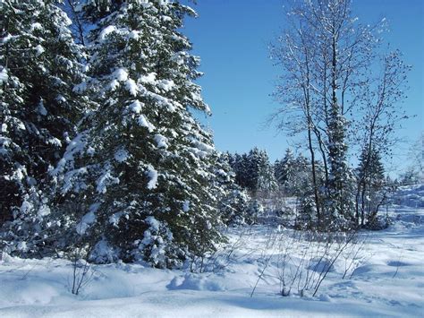 Winterwanderung Hinauf Zur Wagneralm Bei Bruchfeld Winterwandern