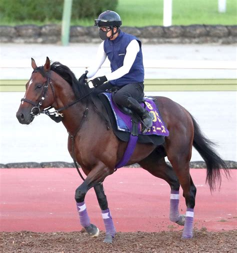 ドウデュースが凱旋門賞へ向け2度目の追い切り 来週は武豊騎手が騎乗予定 スポーツ報知