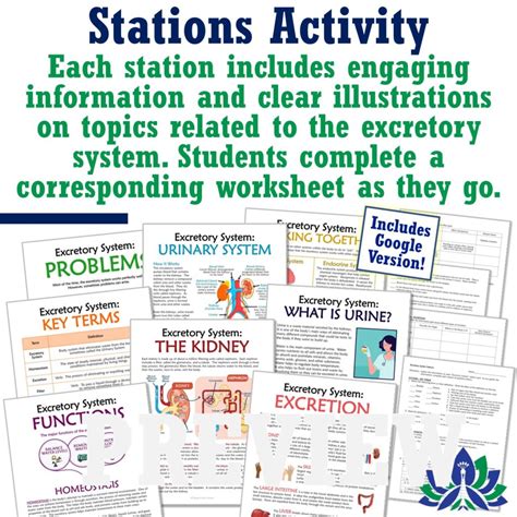 Complete Excretory System Unit Flying Colors Science