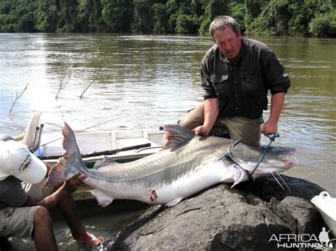 Piraiba catfish from the Amazon | AfricaHunting.com