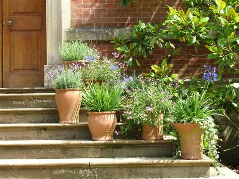 Plant Pot Sizes The Complete Guide Gardening Tips Advice And