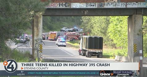 Loved Ones Remember 19 Year Old Girl Killed In Highway 395 Crash