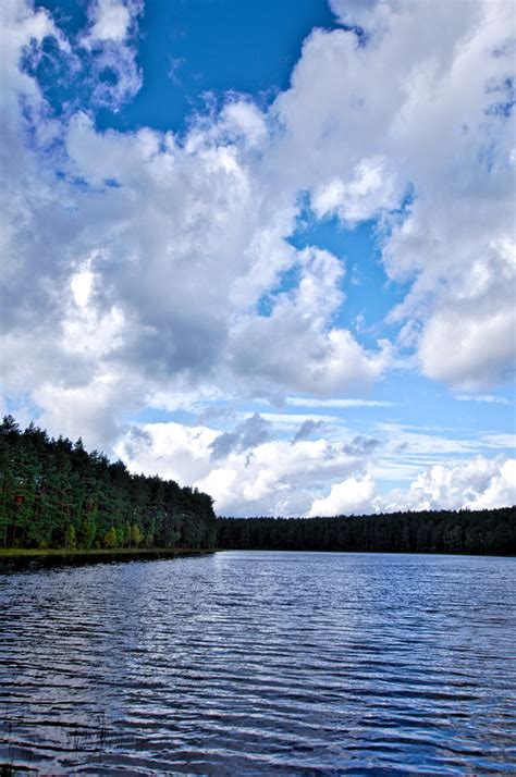 Krajobrazy Kaszubskie Jeziora Lobeliowe FOTOMANIA Przemek