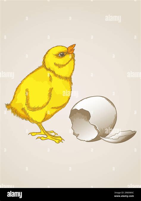 Vintage Egg Illustration Stock Vector Images Alamy