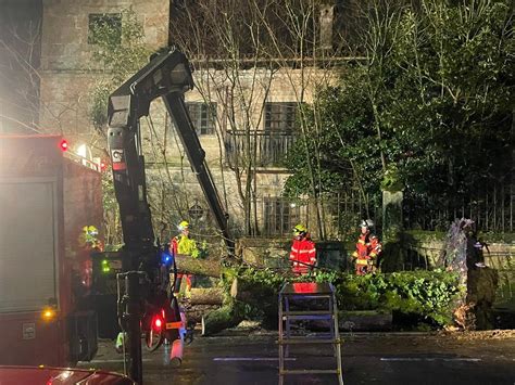 Un árbol de grandes dimensiones se desploma en la Praza de España