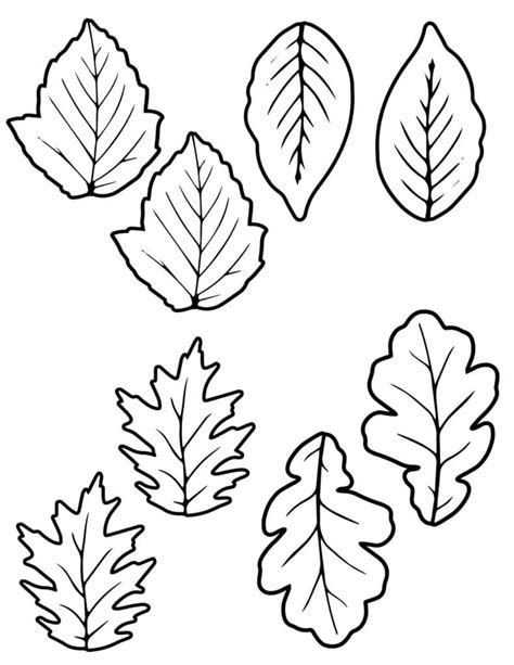 8 Fall Leaf Template Printable Outlines Different Sizes Free A Crafty Life