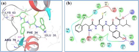 Molecular Docking Studies A Peptide 2 Docked In The Active Site Of