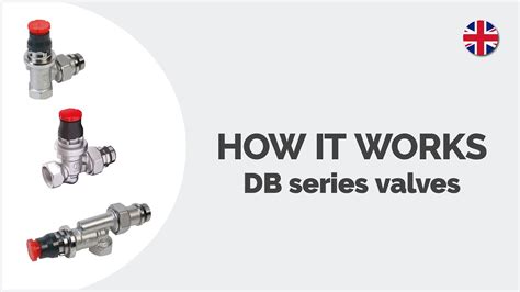 R401db Angle Valve With Thermostatic Option With Dynamic Flow Balancing Giacomini