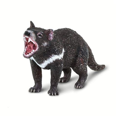 Tasmanian Devil Toy | Wildlife Animal Toys | Safari Ltd®