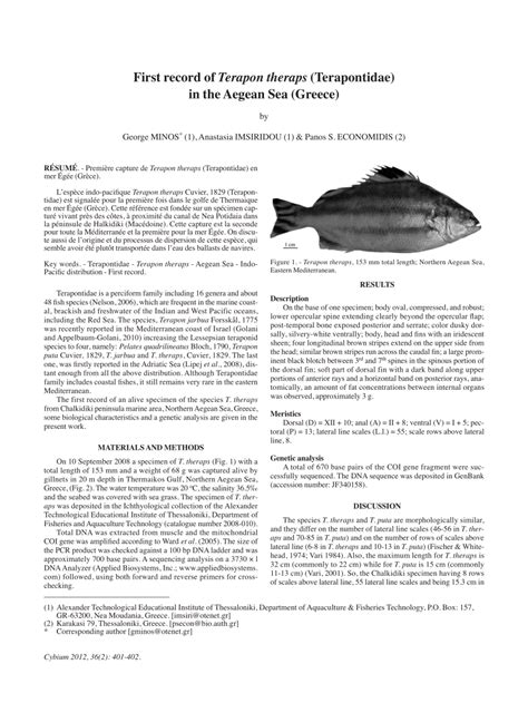 Pdf First Record Of Terapon Theraps Terapontidae In The Aegean Sea