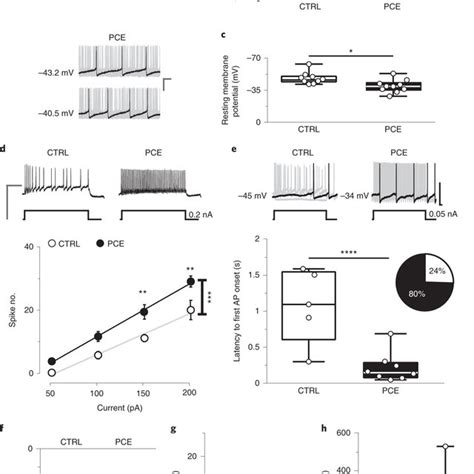 The Pharmacological Inhibition Of Beta Hsd Enzyme Does Not Affect The