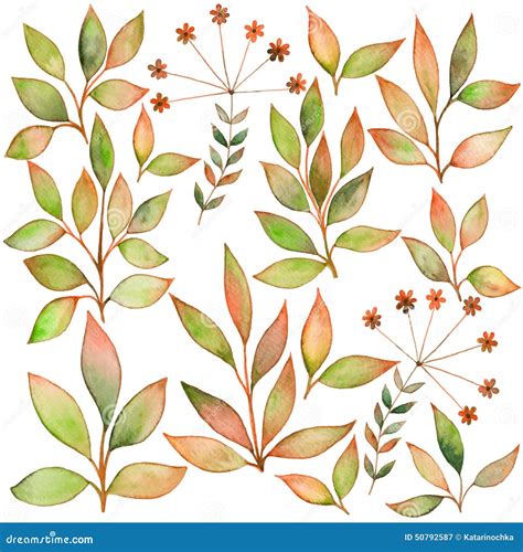 Set Of Watercolors Leaf Elements For Your Design Stock Vector