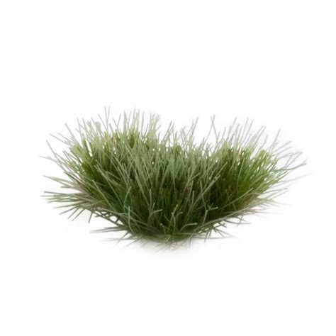 Acheter Gamers Grass Touffes D Herbes Sauvages 6mm Gamers Grass