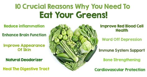 10 Reasons Why You Need To Eat Your Greens