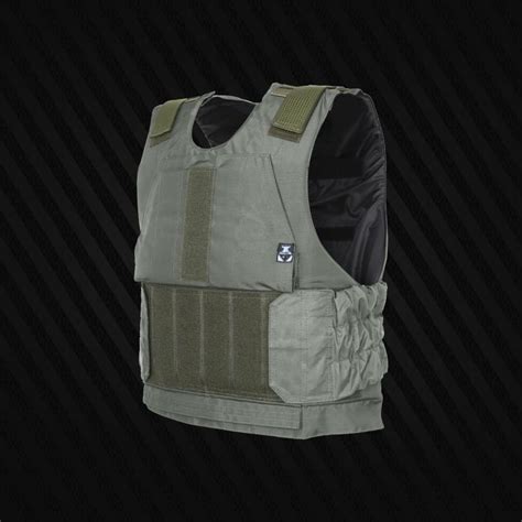 infastidire Superiorità Energia tarkov body armor Sobriquette ...