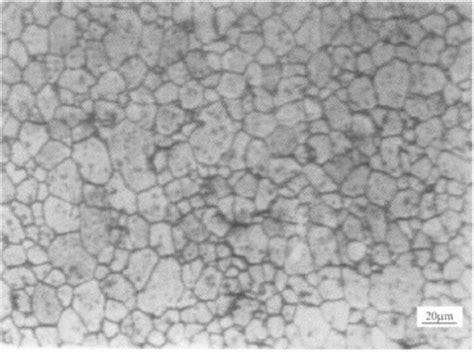 钛及钛合金 金相图谱1 钢铁知识 常州精密钢管博客网