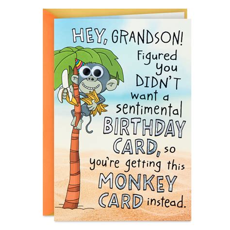 Not Sentimental Funny Pop Up Birthday Card For Grandson Greeting Cards Hallmark