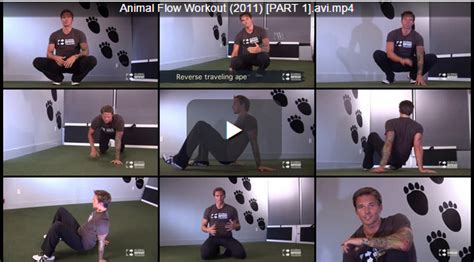 Body Weight Training-Animal Flow: Animal Flow Workout-PART 1-Mike Fitch ...