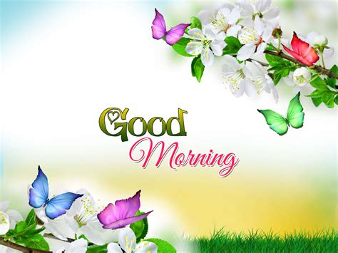 Good Morning Images Live Wallpaper 4k Infoupdate Org