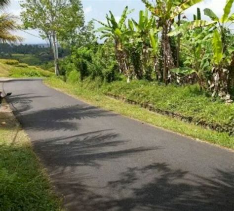 M Tanah View Sawah Terasiring Di Gunung Salak Selemadeg