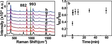 A Sers Response Of Aunp Mpbape Nanoprobe In Phosphate Buffered Saline