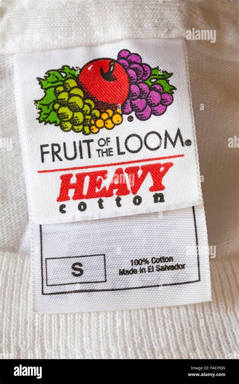 Fruit of the Loom label in heavy cotton t-shirt Stock Photo - Alamy