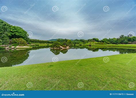 Beautiful Japanese Garden Pond Stock Photo - Image of japanese, design: 117113672