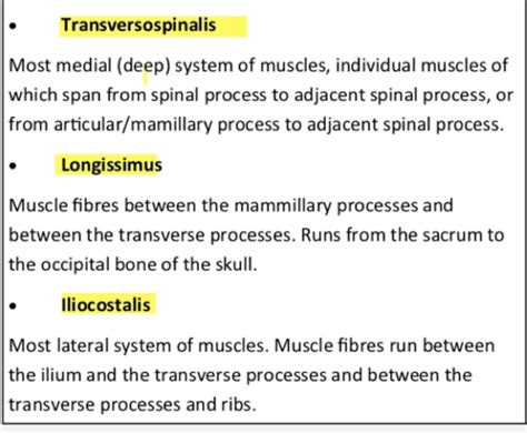 Anatomy Lecutre Hypaxial and Epaxial Muscles Flashcards | Quizlet