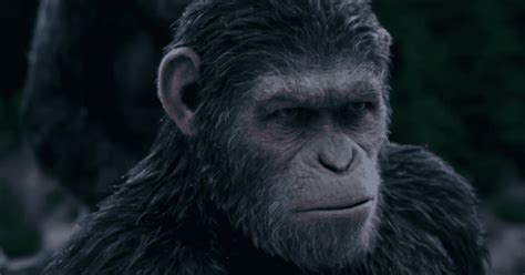 'Kingdom of the Planet of the Apes' remolds original Caesar's story ...