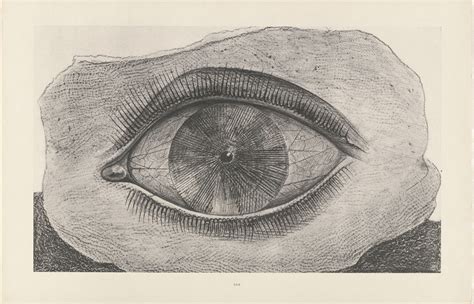 NAU NUA MAX ERNST