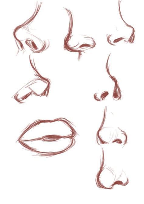 Different nose angles and shapes | Nose drawing, Art tools drawing ...