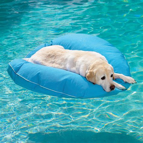 Dog Pool Float The Green Head