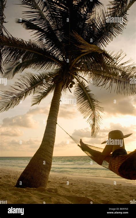 Mexico Quintana Roo Tulum Tourist Woman In Hammock Under Palm