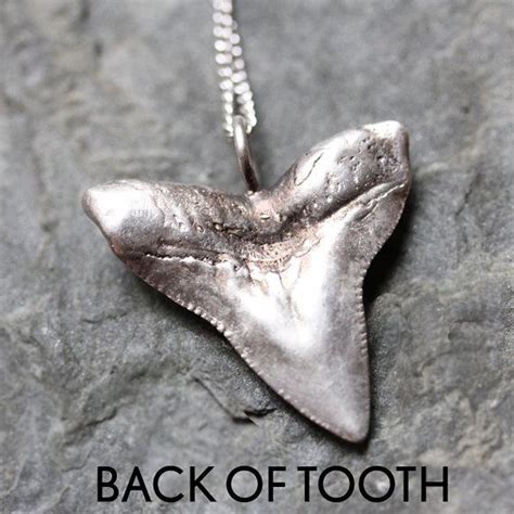 Bull Shark Tooth Necklace Recycled Sterling Silver Shark - Etsy | Silver shark, Shark necklace ...