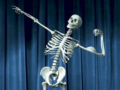 Download Funny Skeleton Flexing Muscles Picture