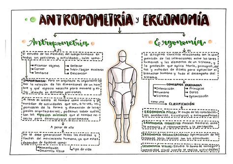 SOLUTION Dibujos Antropometr A Y Ergonom A Arquitectura Studypool