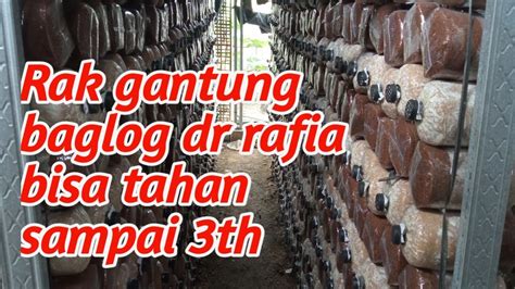 Cara Mudah Dan Murah Bikin Rak Baglog Jamur Sistem Gantung Rafia YouTube